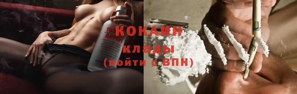 spice Снежногорск