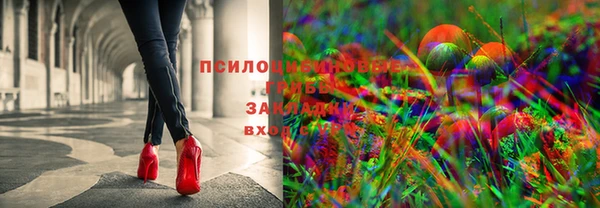 spice Снежногорск
