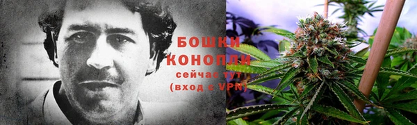 МДПВ Снежинск