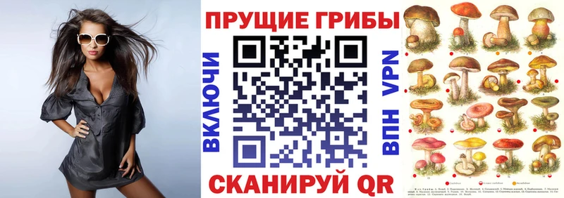 Галлюциногенные грибы мухоморы  Хилок 